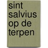 Sint Salvius op de terpen by Dirk J. de Vries