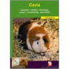 De cavia