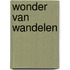 Wonder van wandelen