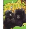 Gorilla's by Sally Morgan