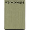 Werkcolleges door Jung