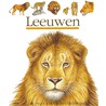Leeuwen door Pierre de Hugo