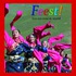 Feest!
