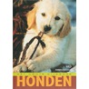 Het grote kijkboek