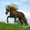 Paarden