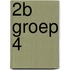 2b Groep 4