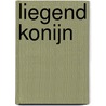 Liegend konijn