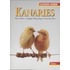 Kanaries