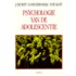 Psychologie van de adolescentie
