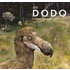 Dodo