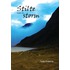 Stilte voor de storm