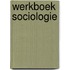 Werkboek sociologie