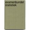 Examenbundel Statistiek door J.J. Groot