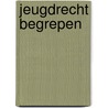 Jeugdrecht begrepen by Lydia Janssen