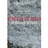 Bloed is de jeugd by Peggy Doloros