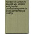Handboek ruimtelijke aanpak van sociale veiligheid en criminaliteitspreventie in de gemeentelijke praktijk