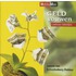 Geld vouwen cadeau-ideetjes set