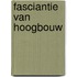 Fasciantie van hoogbouw