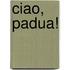 Ciao, Padua!