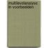 Multilevelanalyse in voorbeelden