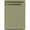 Multilevelanalyse in voorbeelden by Hoeksma