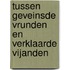 Tussen geveinsde vrunden en verklaarde vijanden