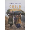 Child Labour door G.K. Lieten