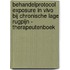 Behandelprotocol exposure in vivo bij chronische lage rugpijn - therapeutenboek