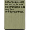 Behandelprotocol exposure in vivo bij chronische lage rugpijn - therapeutenboek by M. Leeuw