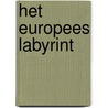 Het Europees labyrint door T. Zwaan