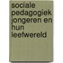 Sociale pedagogiek jongeren en hun leefwereld
