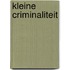 Kleine criminaliteit