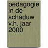 Pedagogie in de schaduw v.h. jaar 2000 by Dasberg