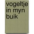 Vogeltje in myn buik