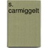 S. Carmiggelt