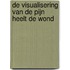 De visualisering van de pijn heelt de wond