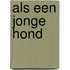 Als een jonge hond