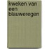 Kweken van een blauweregen