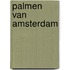 Palmen van amsterdam