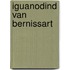 Iguanodind van bernissart