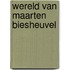 Wereld van maarten biesheuvel