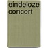 Eindeloze concert