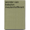 Wonder van babylon meulenhoffkrant by Unknown