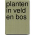 Planten in veld en bos