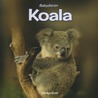 Koala door Burt