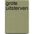 Grote uitsterven