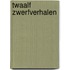 Twaalf zwerfverhalen