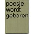 Poesje wordt geboren