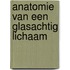 Anatomie van een glasachtig lichaam