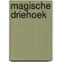 Magische driehoek